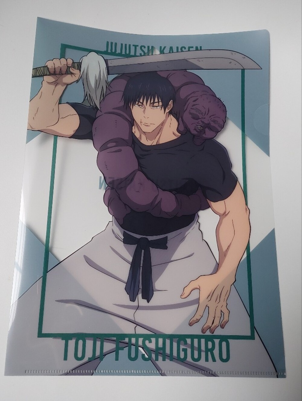 Jujustu Kaisen Toji Fushiguro Clear File Anime Manga Official
